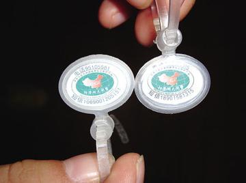 假冒阳澄湖大闸蟹_阳澄湖大闸蟹防伪扣 假冒阳澄湖大闸蟹_阳澄湖大闸蟹防伪扣