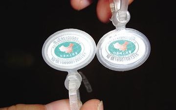 假冒阳澄湖大闸蟹_阳澄湖大闸蟹防伪扣